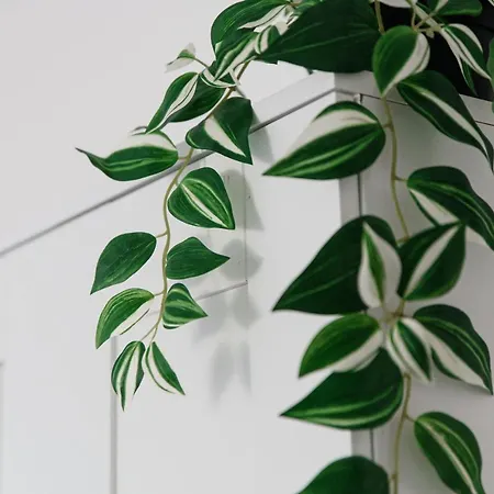 Апартаменти Maraini 8 By Quokka 360 - Comfort Close To The Station Лугано