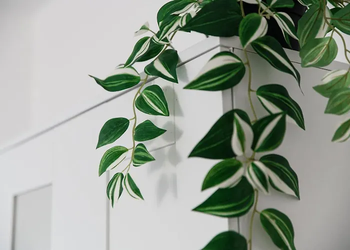 アパート Maraini 8 By Quokka 360 - Comfort Close To The Station ルガーノ